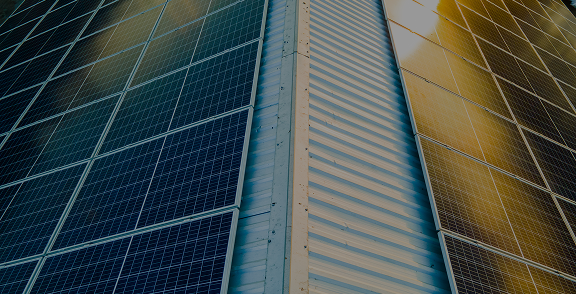 Household & Consumer